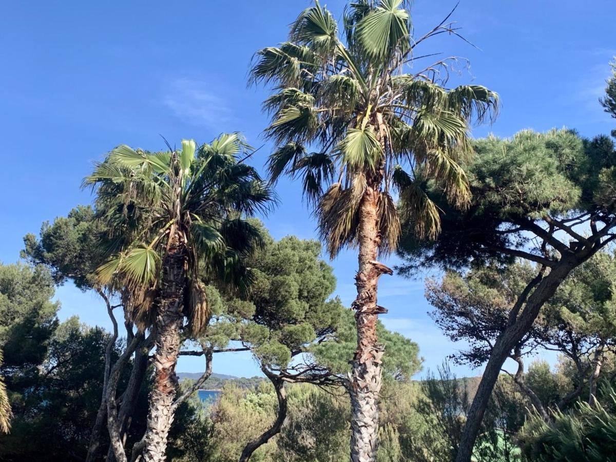 Bergerie Plage Renove Clim Balneo Plage Piscine Jardin Mediterraneen Hyeres Bagian luar foto